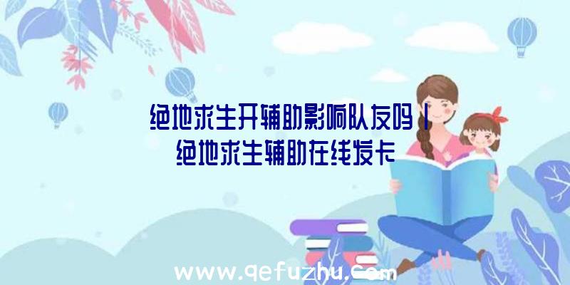 「绝地求生开辅助影响队友吗」|绝地求生辅助在线发卡